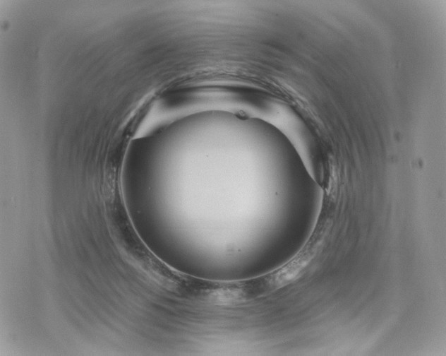 X0000076090168200609291235