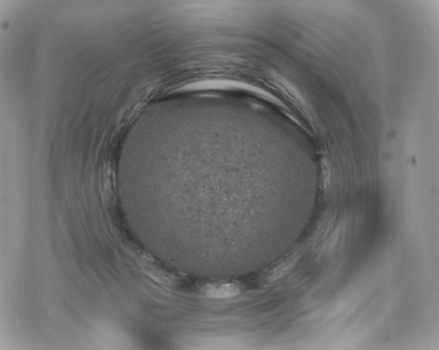 X0000076090169200609291235