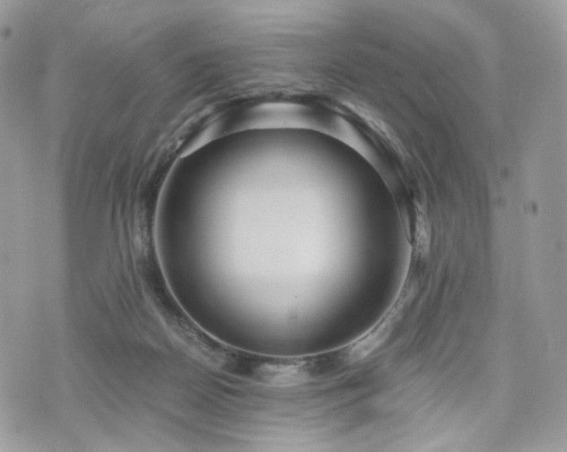 X0000076090170200609291235