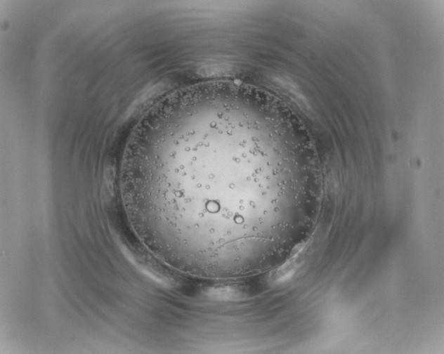 X0000076090171200609291235