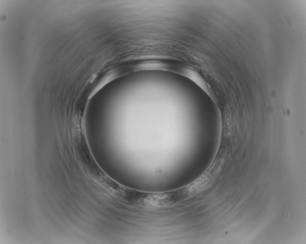 X0000076090172200609291235