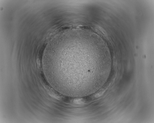 X0000076090173200609291235