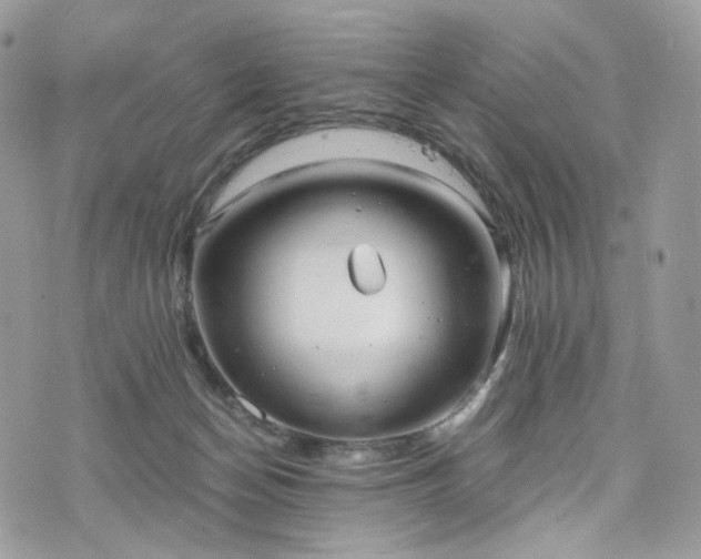 X0000076090174200609291235