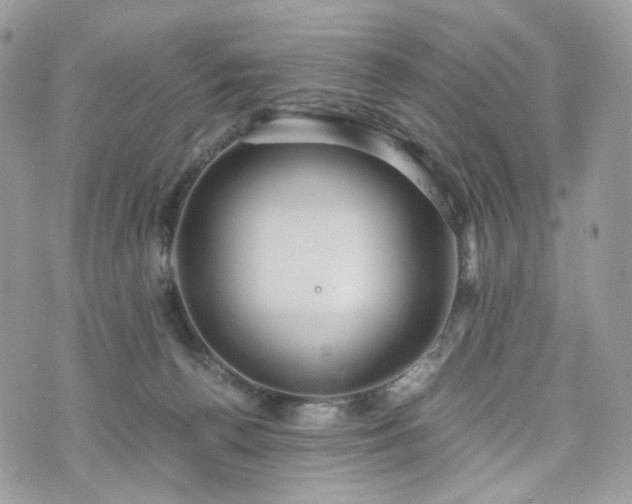 X0000076090176200609291235