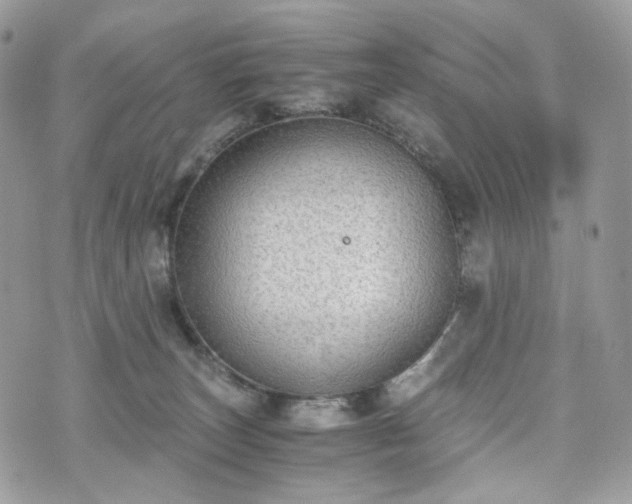 X0000076090179200609291235