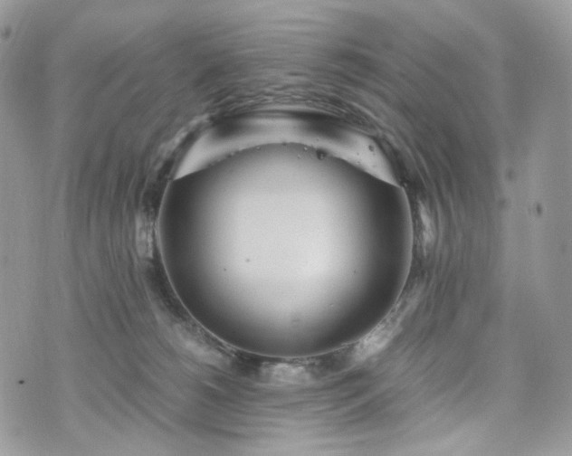 X0000076090180200609291235