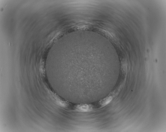 X0000076090181200609291236