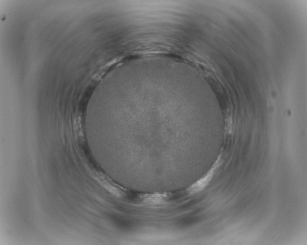 X0000076090182200609291236