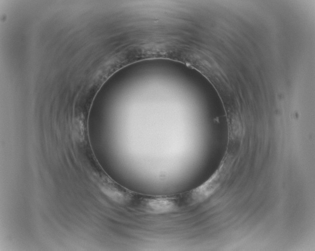 X0000076090183200609291236