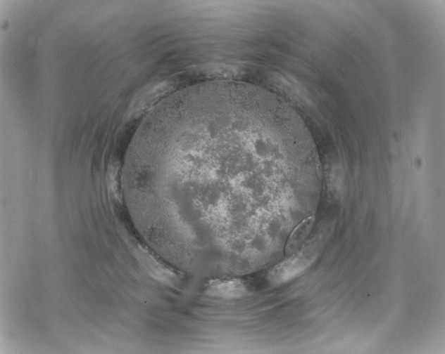 X0000076090185200609291236