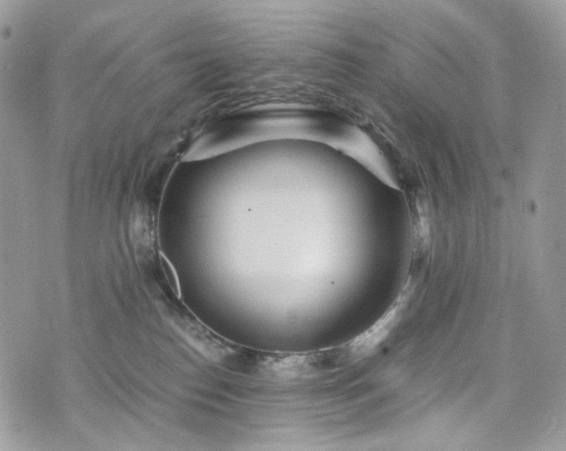 X0000076090186200609291236