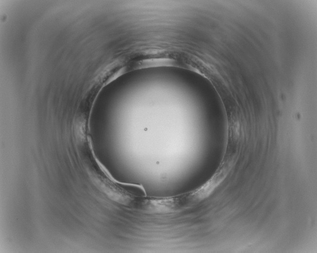 X0000076090188200609291236