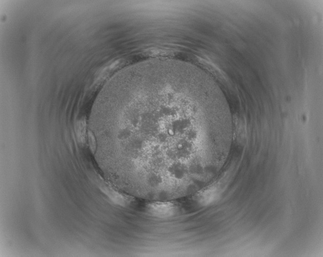 X0000076090189200609291236