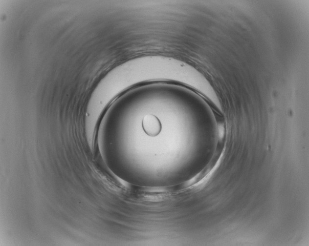 X0000076090190200609291236