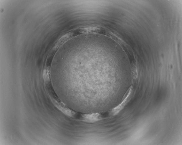 X0000076090191200609291236