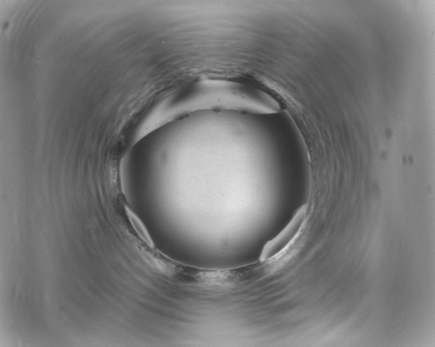 X0000076090192200609291236