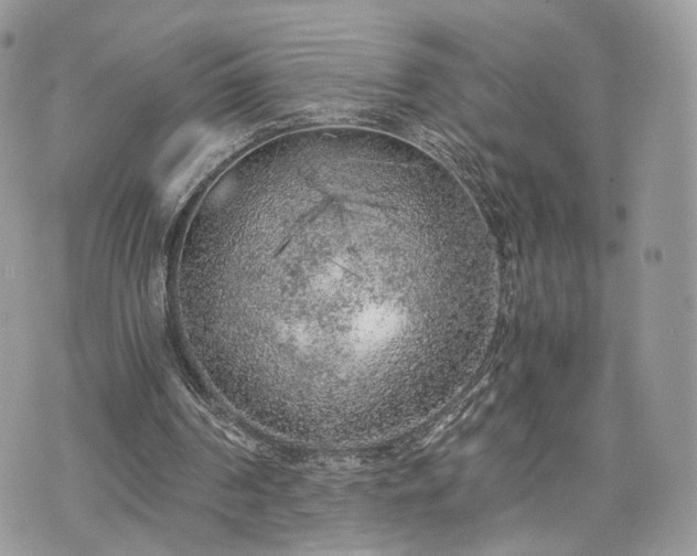 X0000076090194200609291235