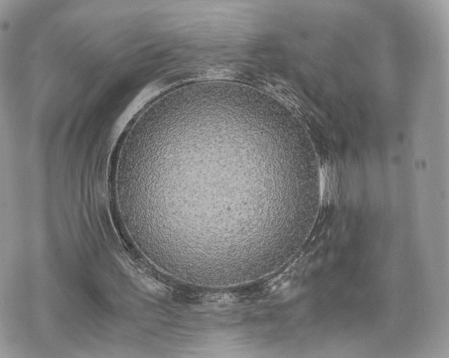 X0000076090195200609291235