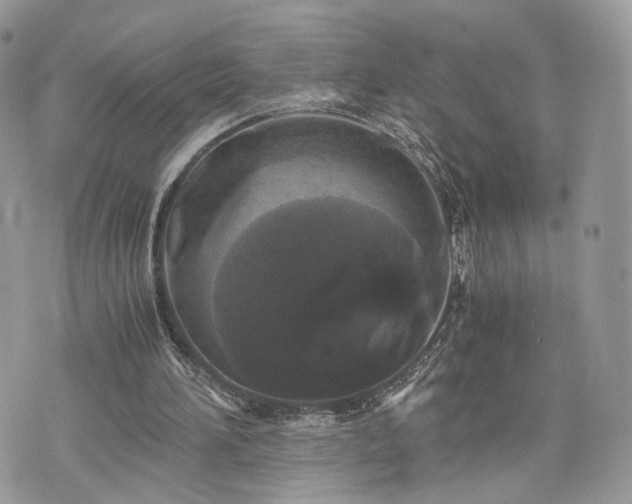 X0000076090196200609291235