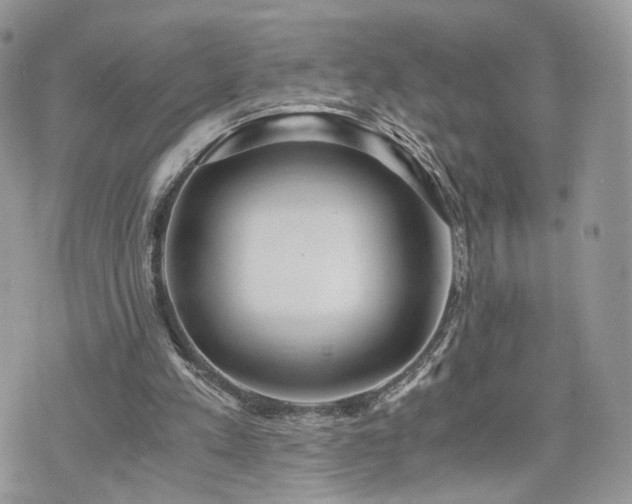 X0000076090197200609291235