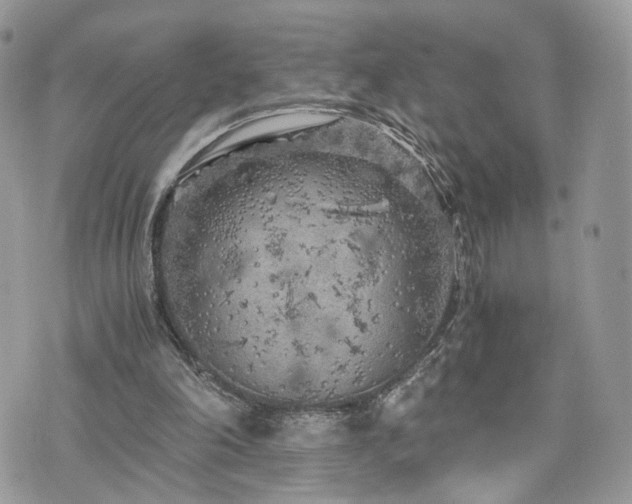 X0000076090198200609291235