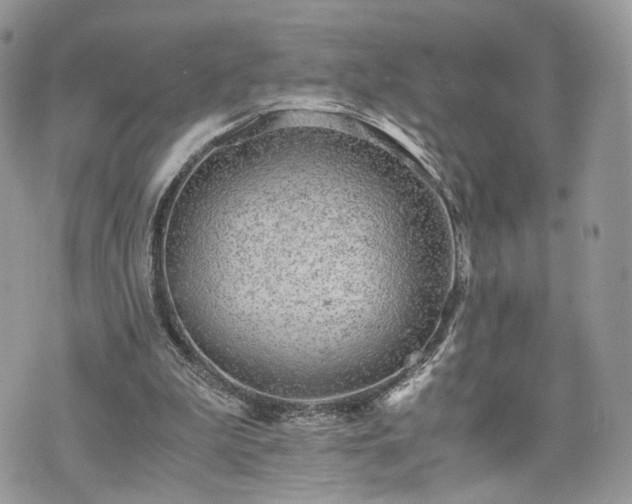 X0000076090199200609291235