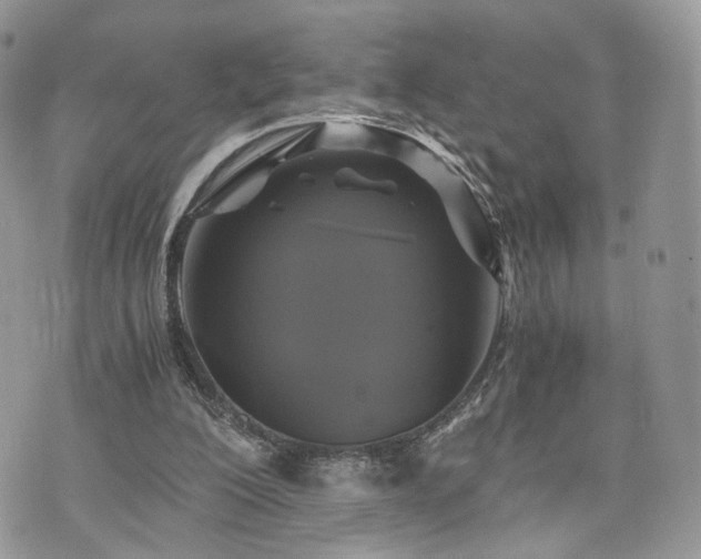 X0000076090200200609291235