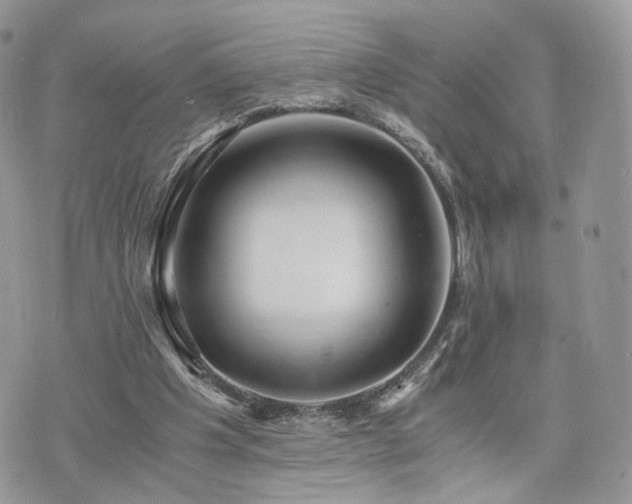 X0000076090201200609291235