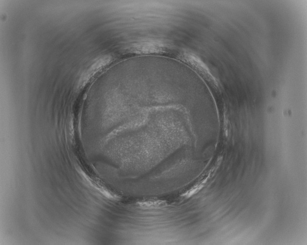 X0000076090202200609291235