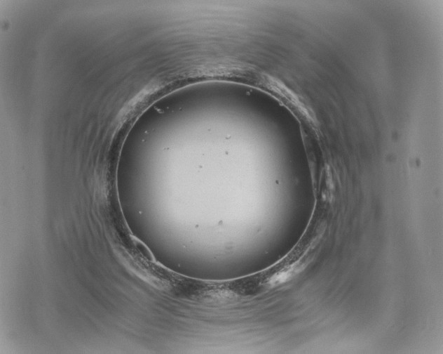 X0000076090203200609291235