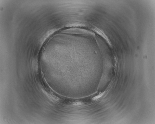 X0000076090204200609291235