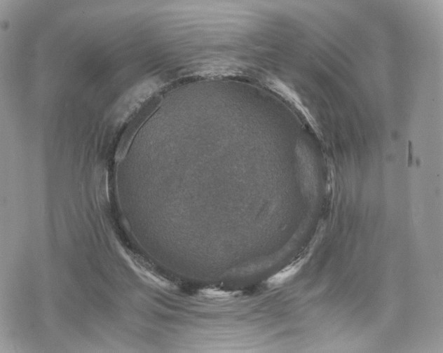 X0000076090205200609291235