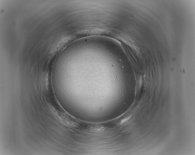 X0000076090206200609291235