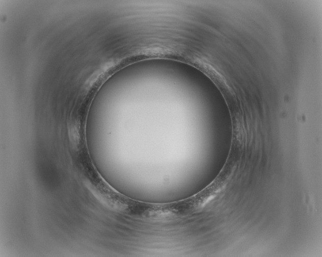 X0000076090208200609291235