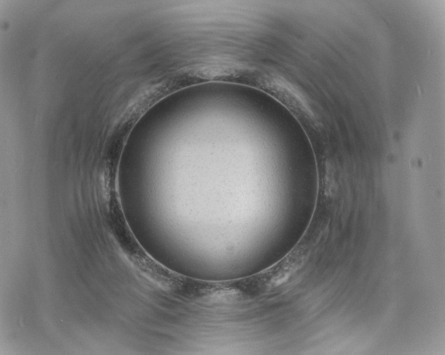 X0000076090210200609291235