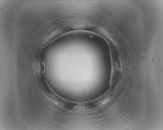 X0000076090211200609291235