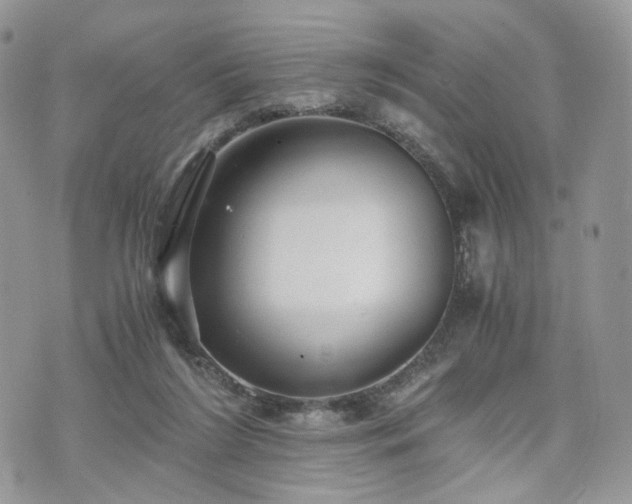 X0000076090212200609291235