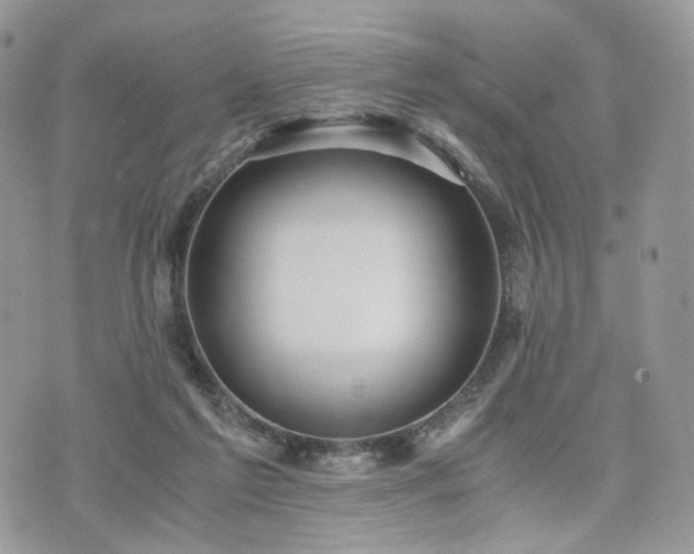 X0000076090213200609291235