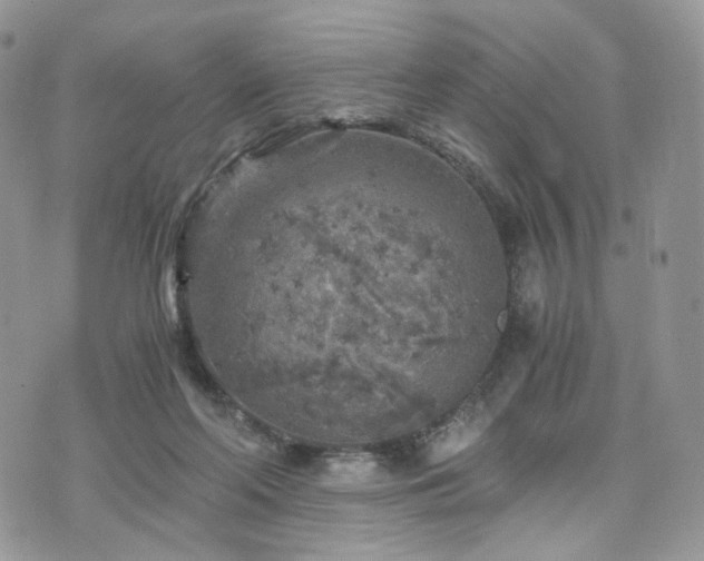 X0000076090214200609291235