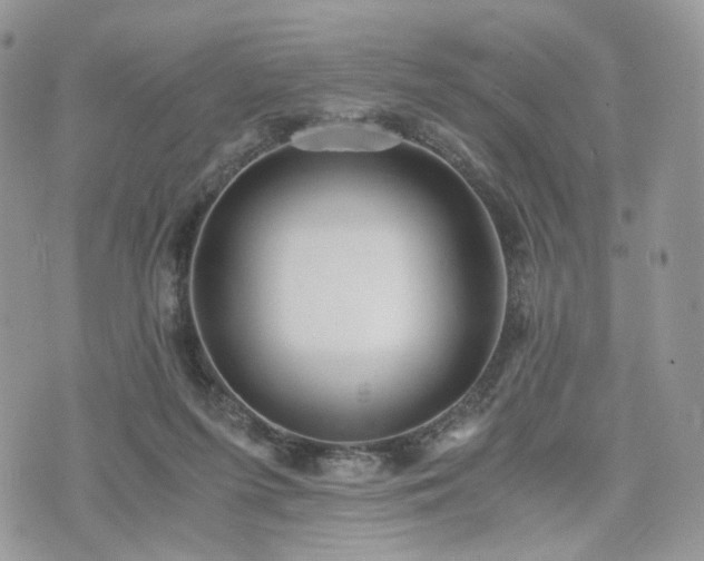 X0000076090215200609291235