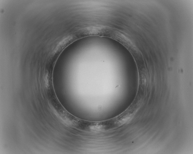 X0000076090216200609291235