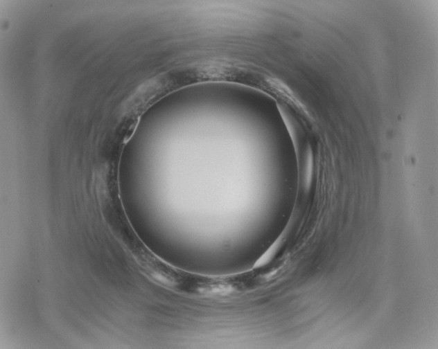 X0000076090217200609291235