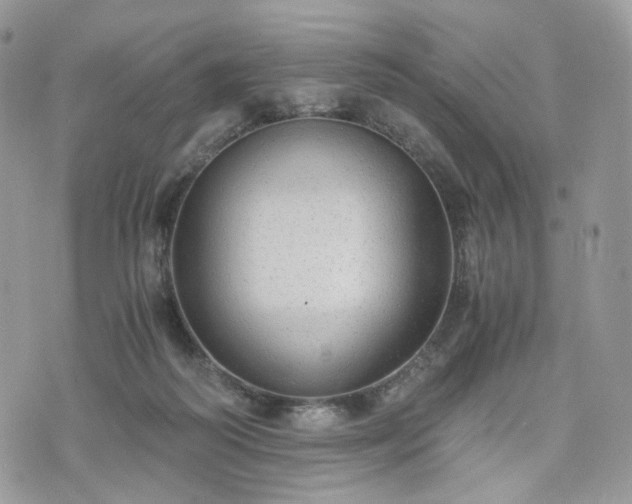 X0000076090218200609291235