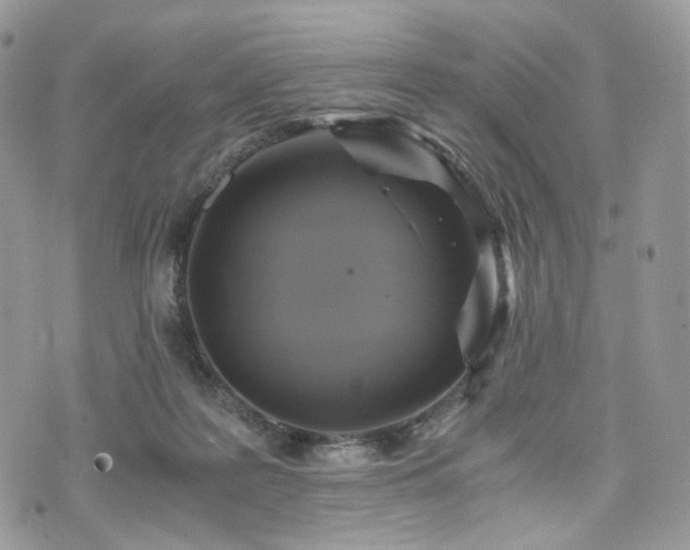 X0000076090219200609291234