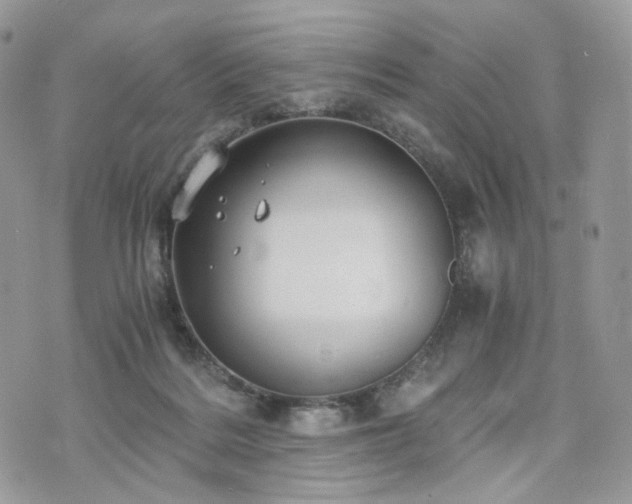 X0000076090220200609291234