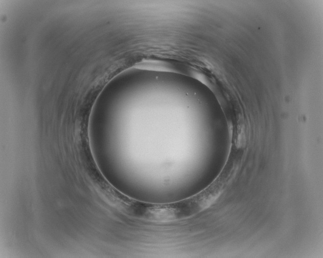 X0000076090221200609291234