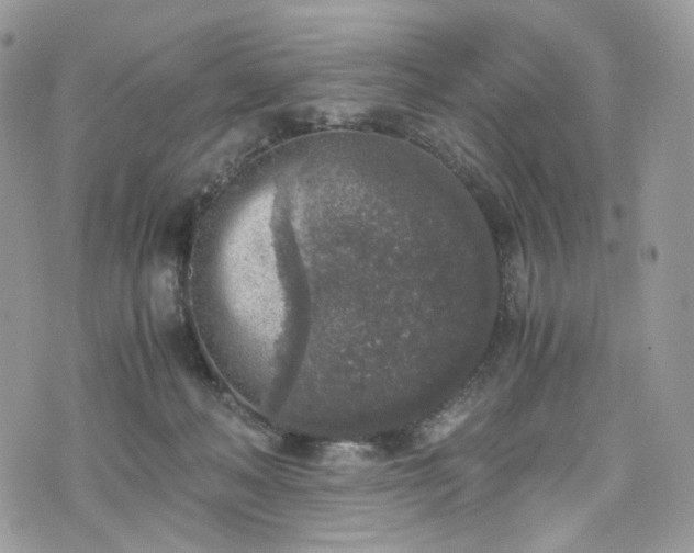 X0000076090222200609291234