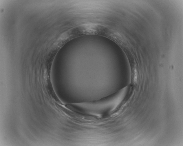 X0000076090223200609291234