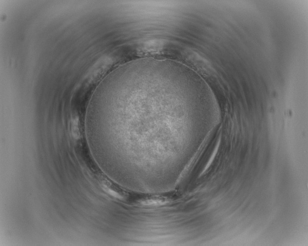 X0000076090224200609291234