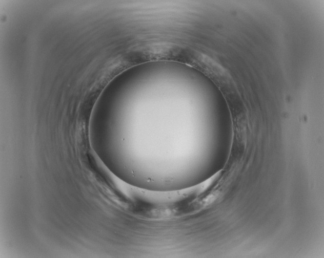 X0000076090225200609291234